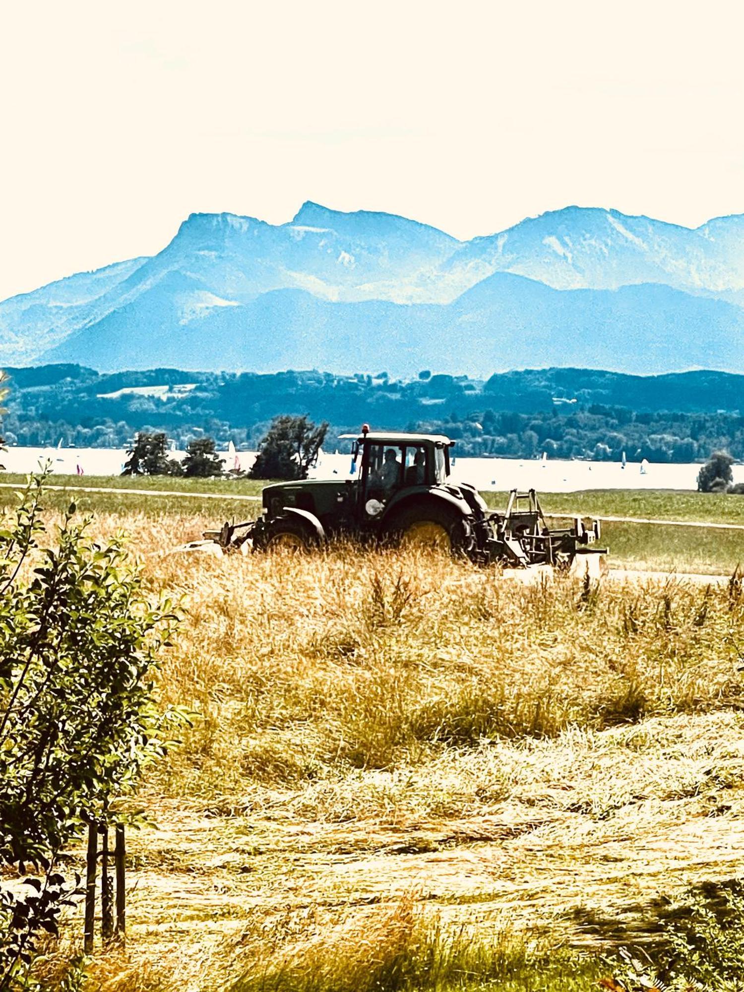 Zuhaeusl Am Chiemsee Appartements Breitbrunn am Chiemsee Exteriér fotografie