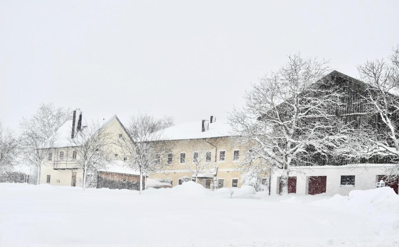 Zuhaeusl Am Chiemsee Appartements Breitbrunn am Chiemsee Exteriér fotografie